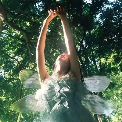 凹凸学园第二季